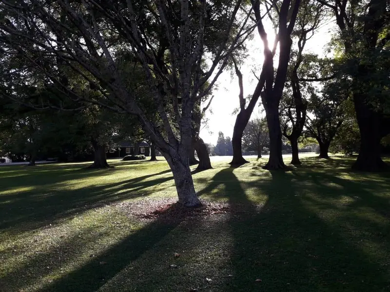 Foto 10