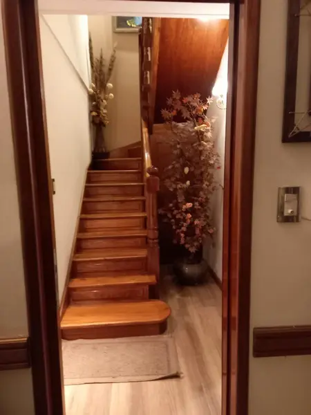 Foto 41