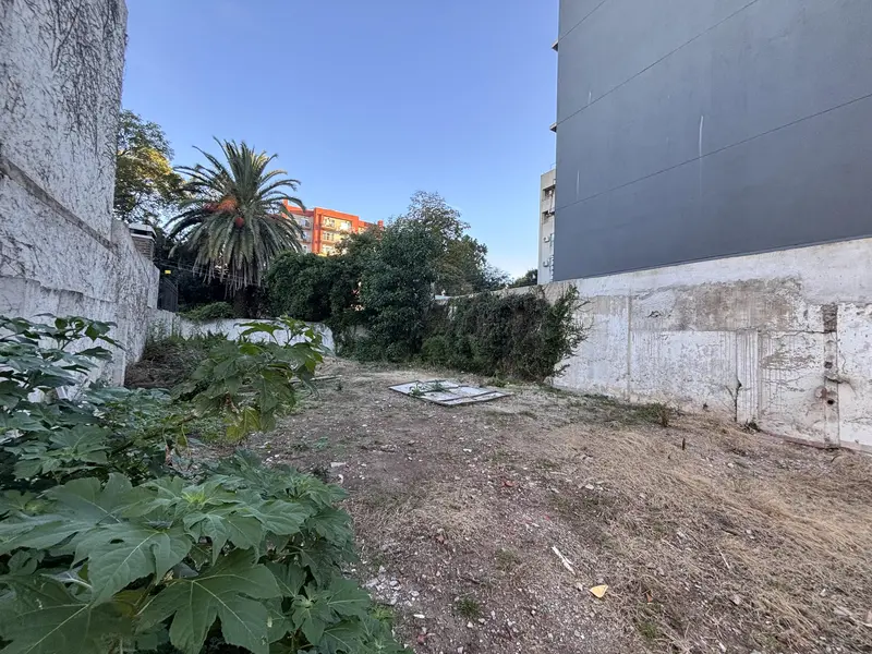 Foto 8