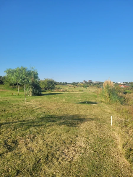 20250502_165536.jpg