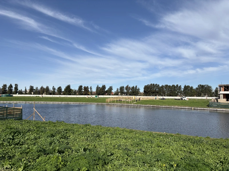 Terreno en venta · Silvestre, Nordelta, Tigre, GBA Norte, Provincia de Buenos Aires