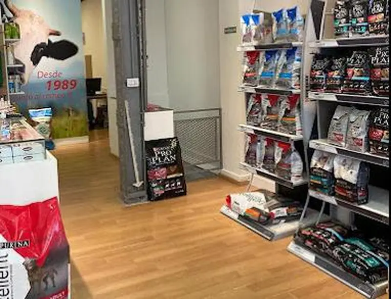 Foto 15