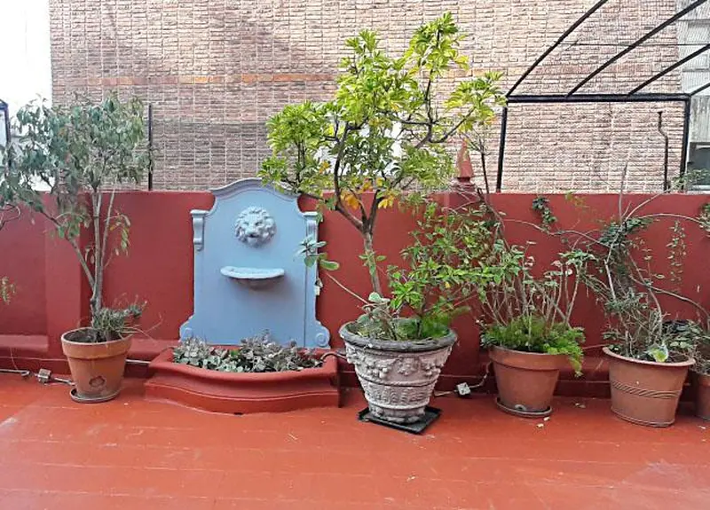 Foto 5