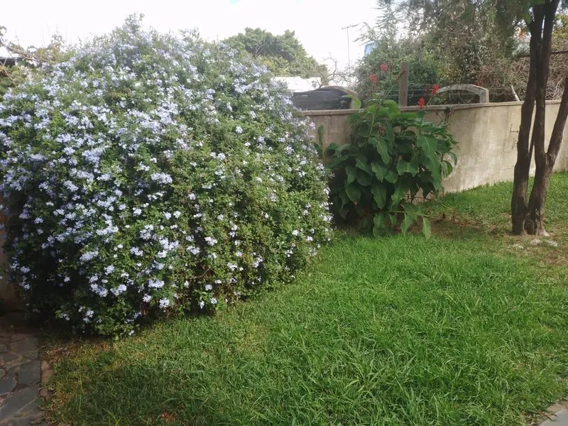 Foto 41