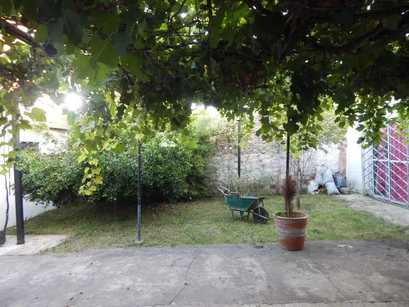 Foto 21