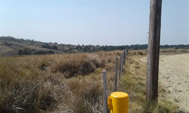 Foto 7