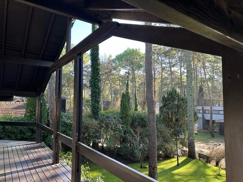 Foto 51