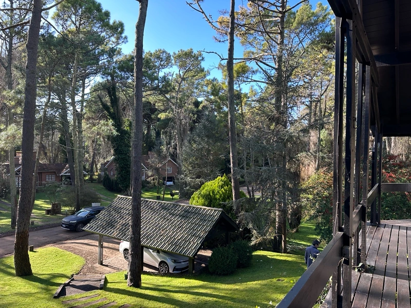 Foto 50