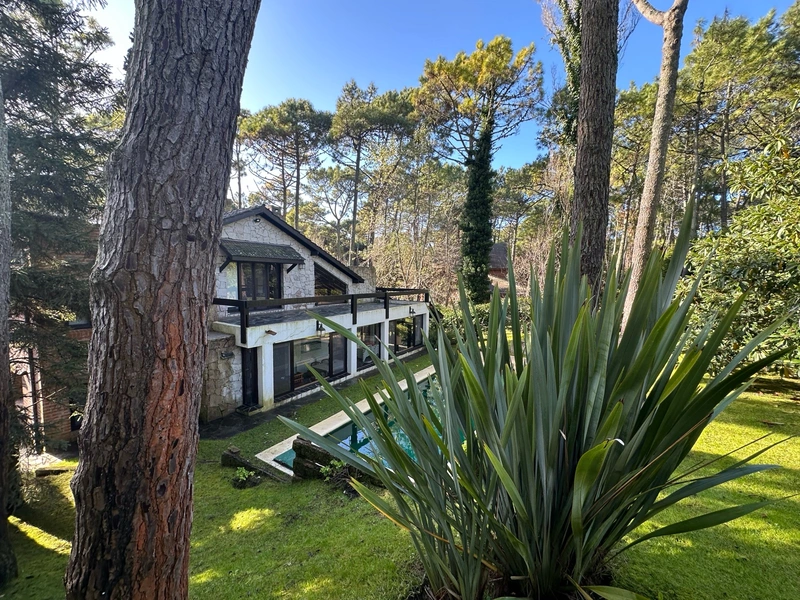 Foto 40