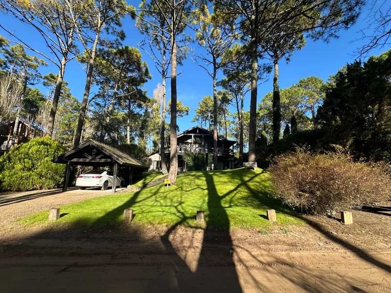 Foto 42