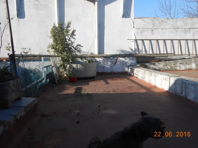 Foto 6