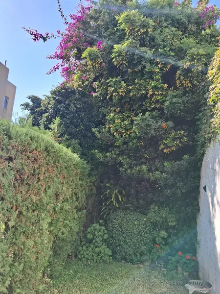 Foto 31