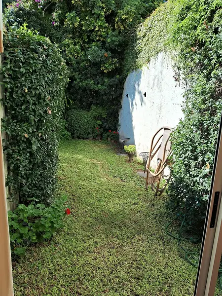 Foto 30