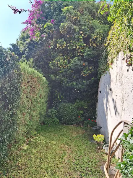 Foto 16