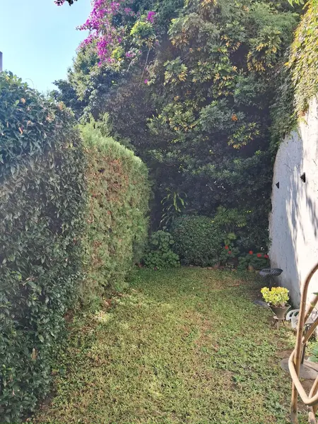 Foto 17