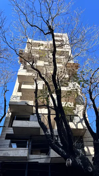 Foto 20