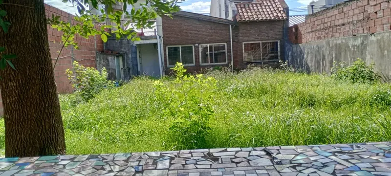 Foto 29