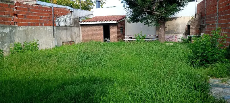 Foto 24