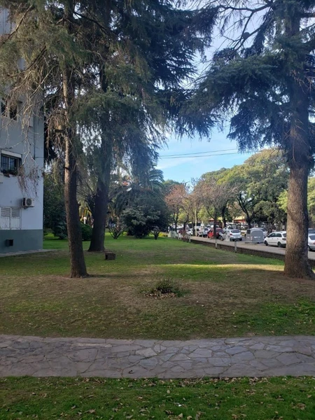 Foto 19