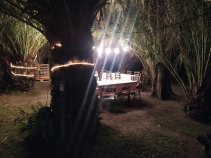 Foto 15
