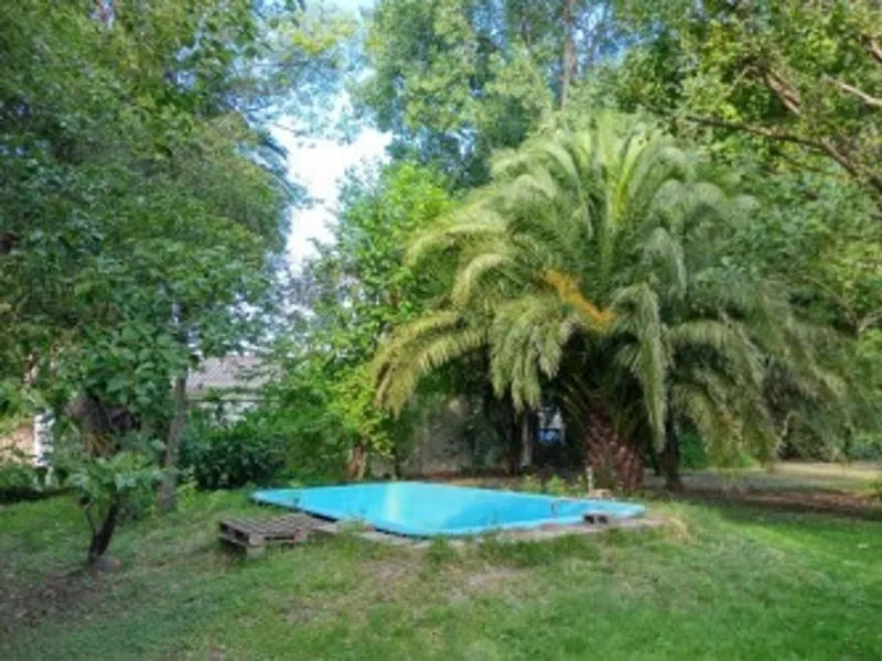 Foto 7