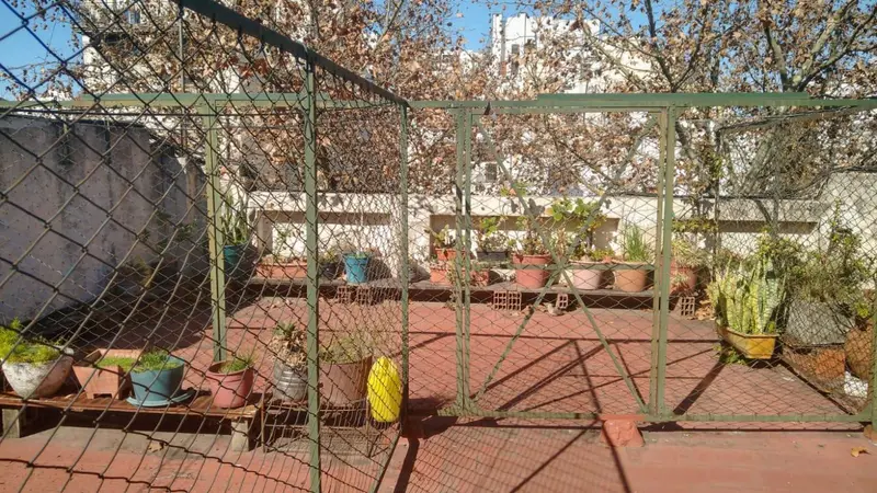 Foto 23