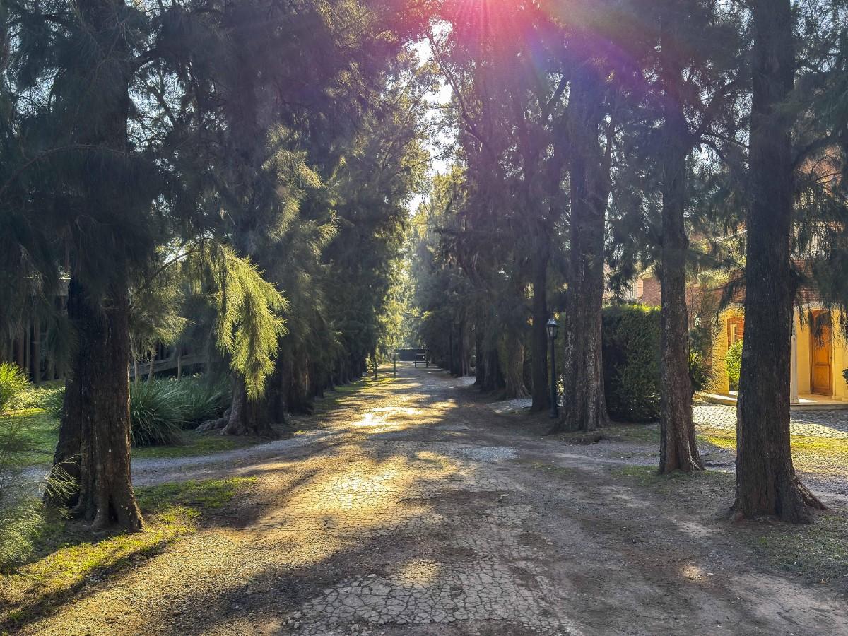 Casa en venta · San Isidro, GBA Norte, Provincia de Buenos Aires Casa en venta · San Isidro, GBA Norte, Provincia de Buenos Aires
