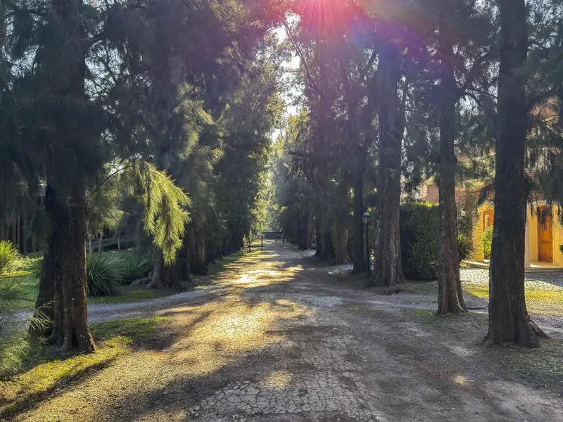 Casa en venta · San Isidro, GBA Norte, Provincia de Buenos Aires Casa en venta · San Isidro, GBA Norte, Provincia de Buenos Aires