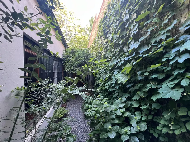 Foto 17
