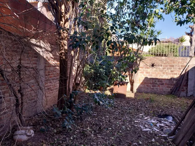 Foto 6