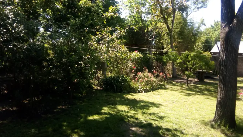 Foto 57