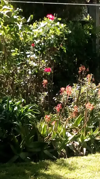 Foto 58