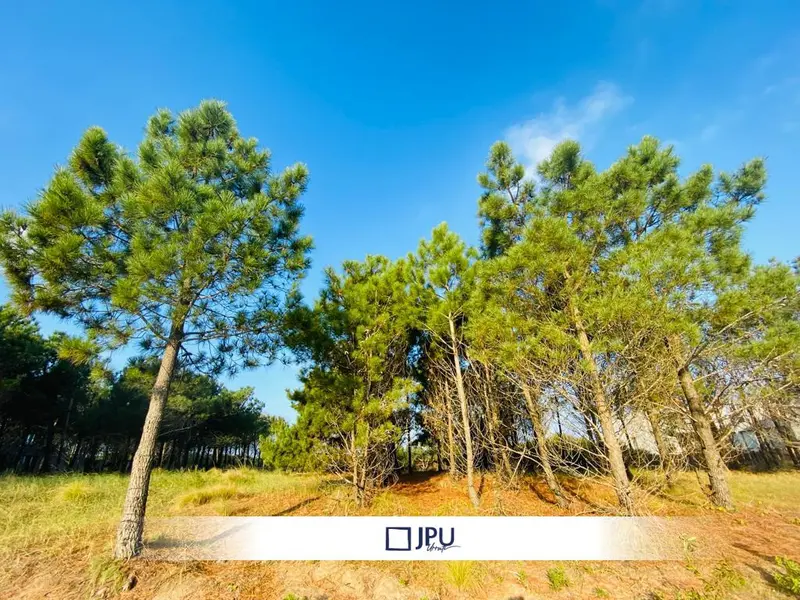 Terreno en venta · Costa Esmeralda, Punta Medanos, La Costa, Costa Atlántica, Provincia de Buenos Aires