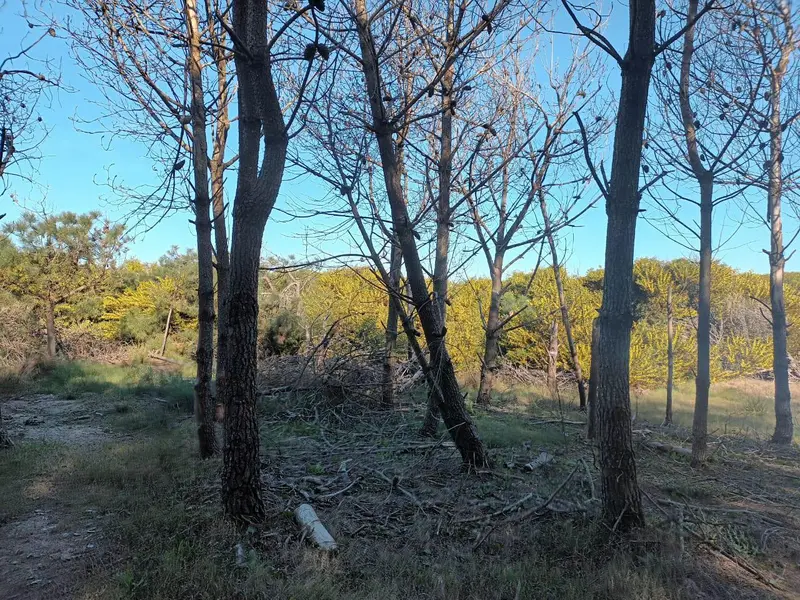 Terreno en venta · Costa Esmeralda, Punta Medanos, La Costa, Costa Atlántica, Provincia de Buenos Aires