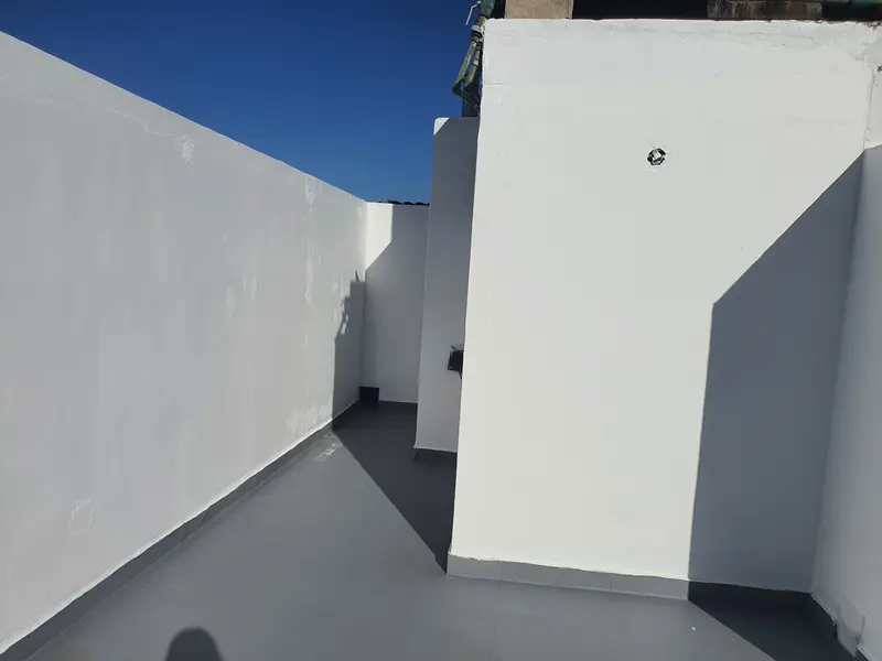 24515.jpg