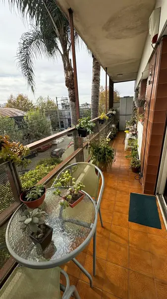 Foto 7