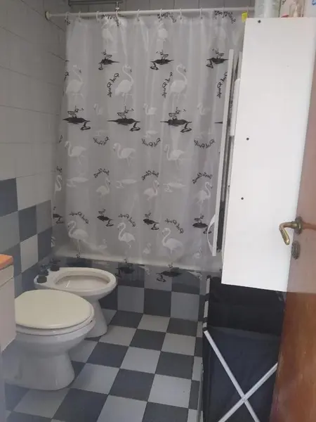 Foto 19