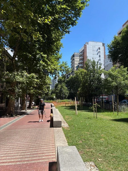 Foto 19