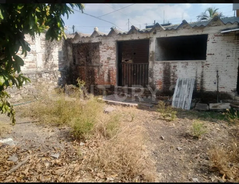 Foto 6