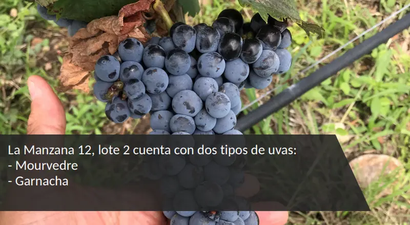 Foto 13
