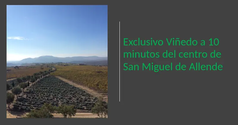 Lote en venta · San Miguel de Allende Centro, San Miguel de Allende, Guanajuato