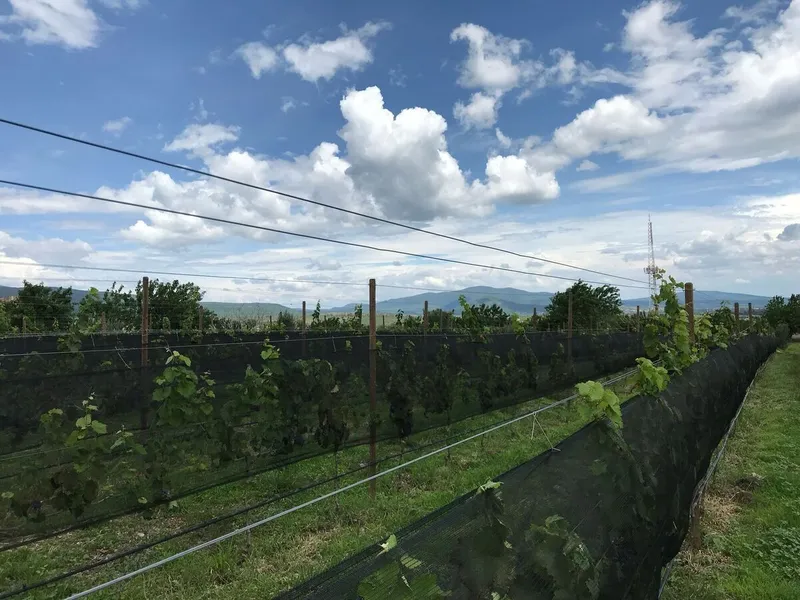 Lote en venta · San Miguel de Allende Centro, San Miguel de Allende, Guanajuato