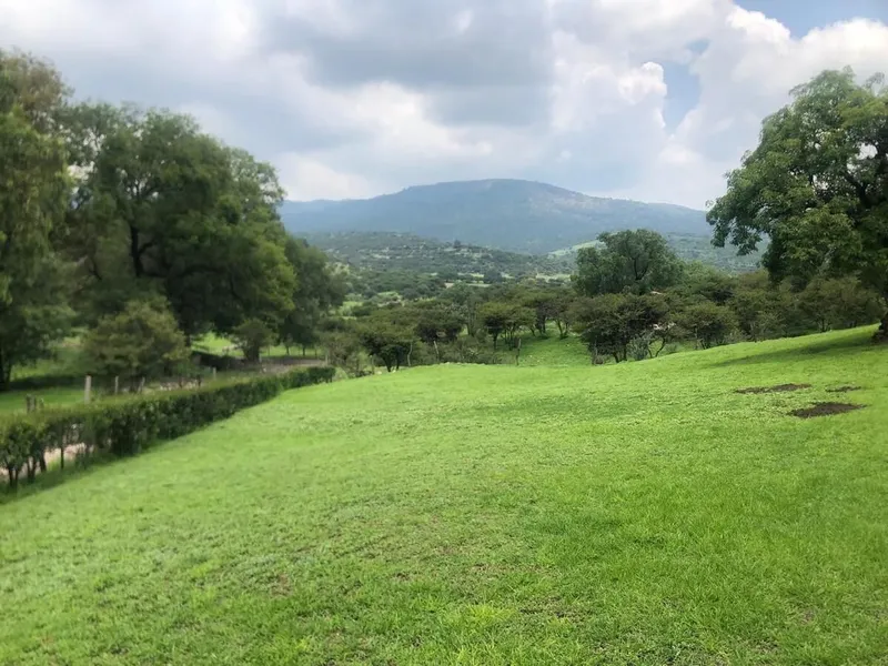 Foto 44