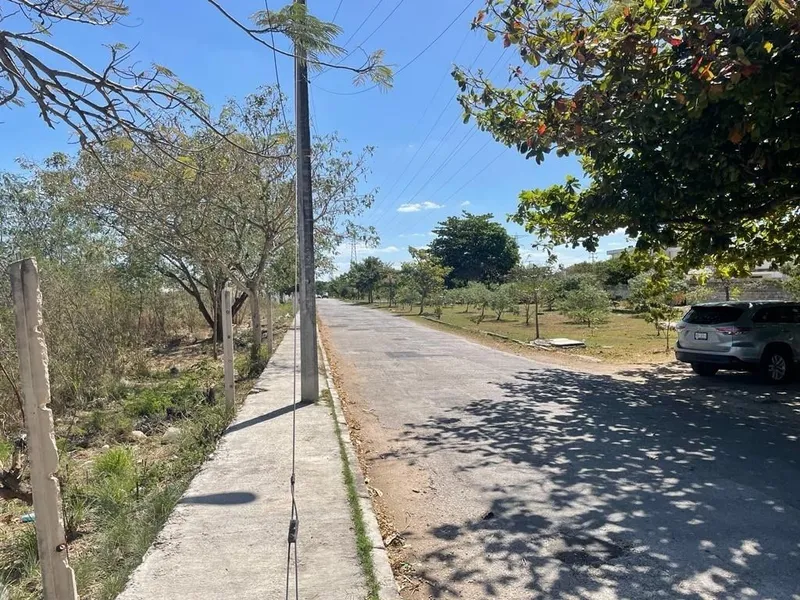 Foto 15
