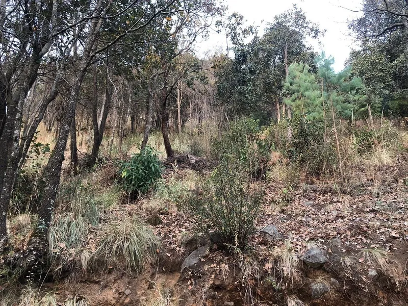 Lote en venta · Santiago Analco, Lerma, Estado de México