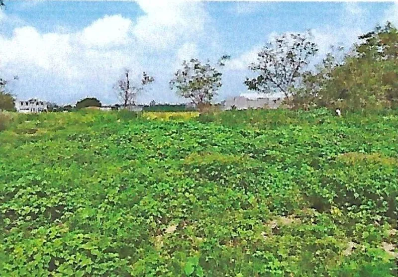 Lote en venta · Zoquiapan, Ixtapaluca, Estado de México
