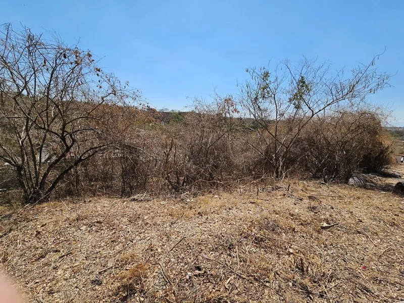 Foto 11