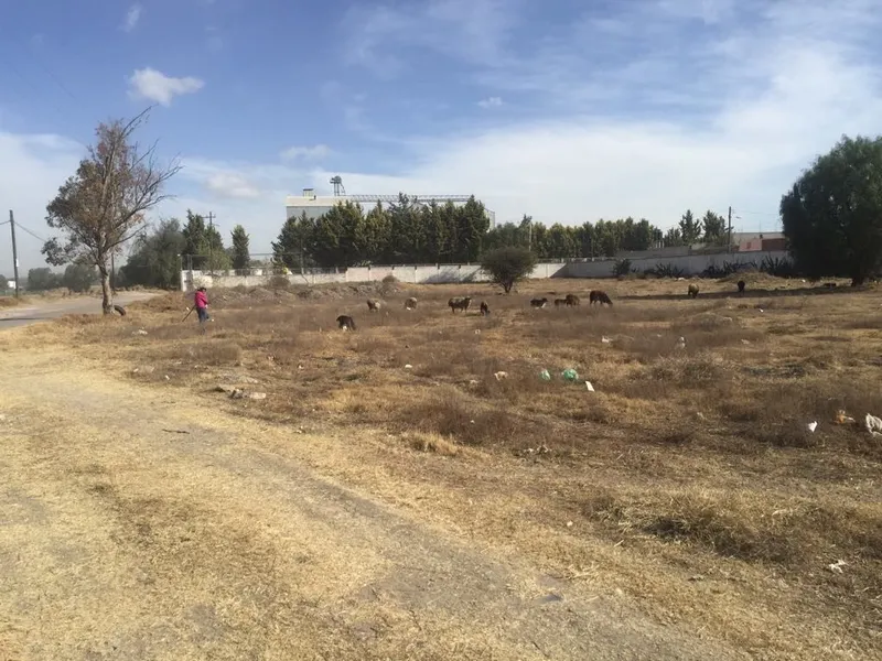 Lote en venta · Santiago Zacualuca, Teotihuacán, Estado de México