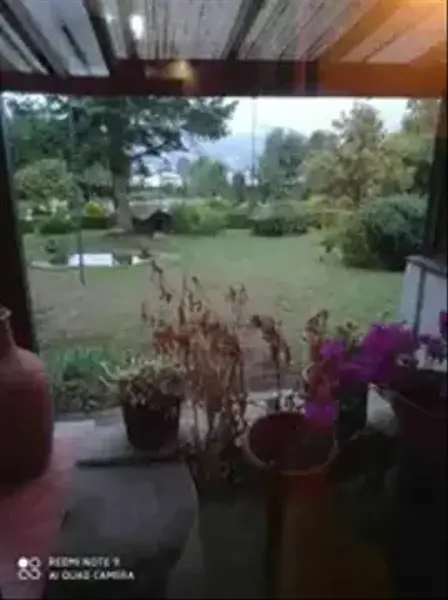 Foto 28