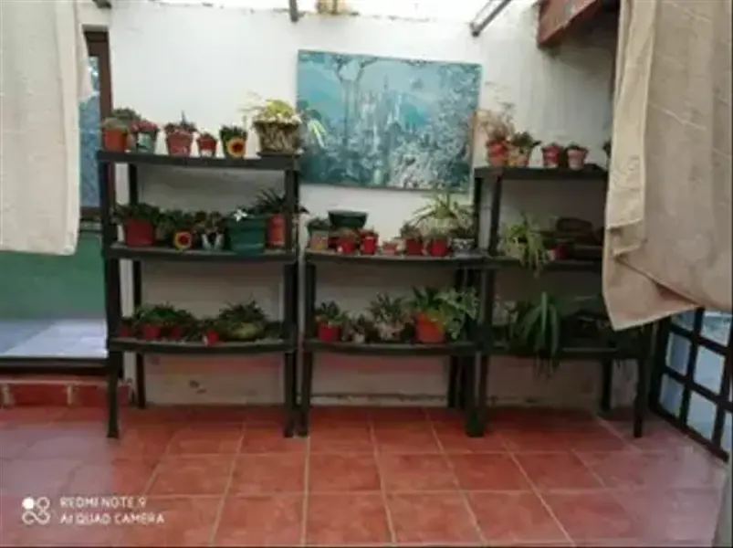 Foto 33
